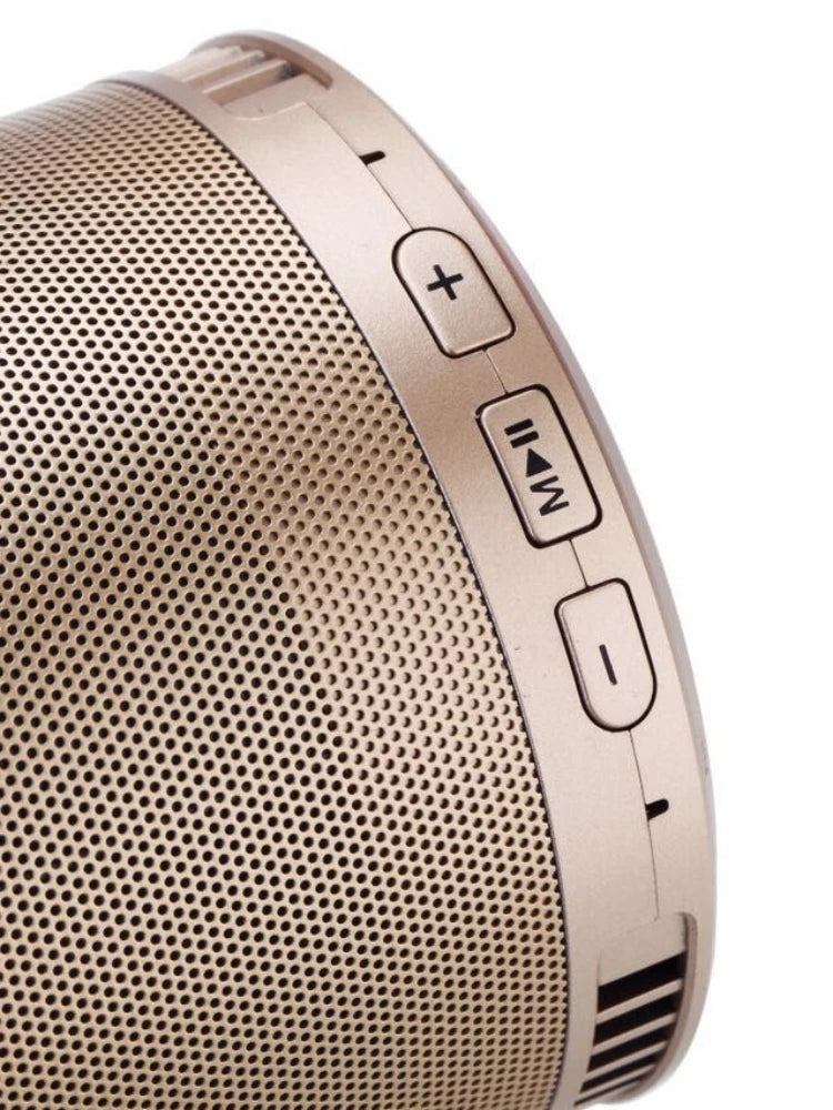 Mini Wireless Bluetooth Speaker, WiFi Music Player